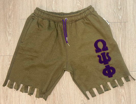 Big Bruhz Chenille logo greek letter shorts